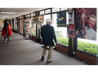 Bas French, a day one volunteer at Spruce Meadows, looks over the display case and tribute to Ron Southern Wednesday June 8, 2016 on the opening day of The National. The poster on the right is riding master Albert Kley who also passed away this year.