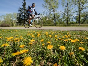 Calgarians have their challenges, but they do have access to about 1,000 kilometres of traffic-free bicycle paths, says reader.