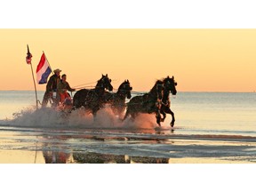 Gerard Paagman and Anne Okkema with Friesian horses at Bolivar Peninsula Beach, Texas. From the Caravan Film. Courtesy, HDTV Productions Inc.