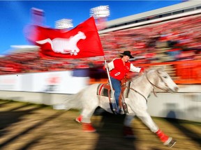 Karyn Drake rides Quick Six, the Calgary Stampeders touchdown horse, along the sidelines following a Stampeders touchdown against the BC Lions during CFL football in Calgary, Alta. on Sunday November 15, 2015. Al Charest/Calgary Sun/Postmedia Network