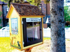 One of the Little Free LIbrariers in Hillhurst that houses mysteries, thrillers and crime novels.