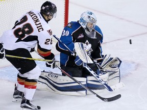 Gavin Young, Calgary Herald CALGARY, AB: DECEMBER 28, 2015 - The Calgary Hitmen's Tyler Mrkonjic looks for a rebound in front of Kootenay Ice goaltender Wyatt Hofflin during first period WHL action at the Scotiabank Saddledome on Monday December 28, 2015. (Gavin Young/Calgary Herald) (For Sports section story by Laurence Heinen) Trax# 00071057A