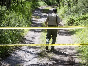 An Alberta Fish and Wildlife officer walks away after closing down a trail to a back-country camping spot near Trapper's Hill Lodges northeast of Cochrane, Alta., on Tuesday, July 19, 2016. A woman suffered non-life-threatening injuries when she was attacked by a grizzly bear while resting on a river bank with her husband. Lyle Aspinall/Postmedia Network