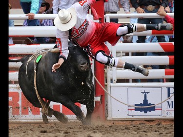 Calgary Stampede bull fighter Scott Waye has a close encounter with bull Preacher after Dakota Buttar's ride in the bull riding in the rodeo on Sunday July 10, 2016.