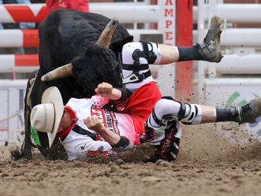 Calgary Stampede bull fighter Scott Waye has a close encounter with bull Preacher after Dakota Buttar's ride in the bull riding in the rodeo on Sunday July 10, 2016.