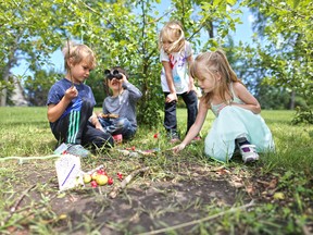 From left; Oakley Connolly, 5, Oscar Fletcher-Nisenson, 4, Penny Mix and Sophia Chandon, 4 have fun at the Little Story Tellers in the Park summer day camp in Altadore on Monday July 18, 2016.