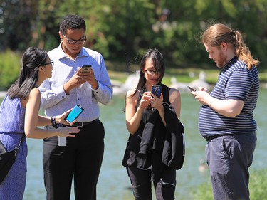 Dozens of Pokemon Go players play on Prince's Island in Calgary over the lunch hour on Tuesday July 19, 2016.