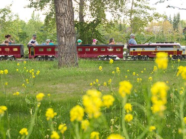Allan Millard drives the newly restored Bowness Park miniature train on the first official run in Calgary on Thursday July 28, 2016. The train was destroyed in the 2013 floods and had to be completely restored by a team from the Call of the West Museum in High River led by Millard.