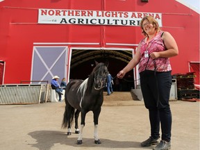 Kendra Gale stands with her mini horse Zac after competition at the Calgary Stampede on Wednesday July 13, 2016.