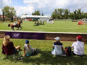 Spectators watch a run-away horse during the Jani-King Cup in the All Canada ring at the Spruce Meadows North American on Thursday July 7, 2016.  Gavin Young/Postmedia