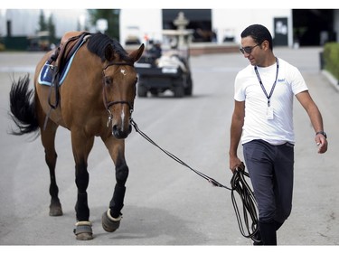 Egyptian rider Sameh El Dahan walks his mount back to the barns after training in the sand ring Tuesday July 5, 2016 prior to the Wednesday start of the Spruce Meadows North American. (Ted Rhodes/Postmedia)