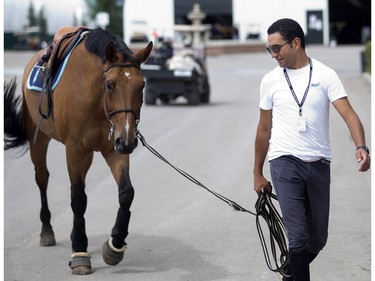 Egyptian rider Sameh El Dahan walks his mount back to the barns after training in the sand ring Tuesday July 5, 2016 prior to the Wednesday start of the Spruce Meadows North American.
