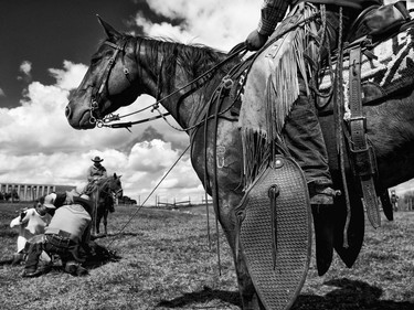 JH Branding time on the Lazy U Ranch near Pincher Creek, Alta., on Tuesday May 24, 2016. Leah Hennel/Postmedia