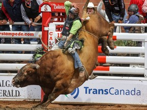 Dakota Buttar rode Neon Magic to win the bull riding competition on Day 4 at the Calgary Stampede on Monday July 11, 2016. Mike Drew/Postmedia