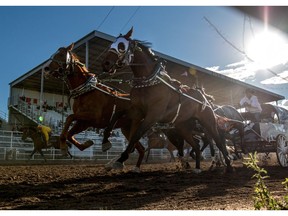 Charging down the track as the race starts at the Guy Weadick Days Chuckwagon Races in High River on Thursday June 23, 2016. Mike Drew/Postmedia