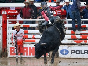 Cody Teel from Kountze, Tx. on Liquid Fire won the bull riding at the Calgary Stampede rodeo Sunday July 17, 2016. Mike Drew/Postmedia