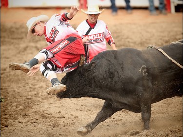 Bull fighter Scott Waye gets roughed up by a bull called Preacher at the Calgary Stampede rodeo on Sunday, July 10, 2016.