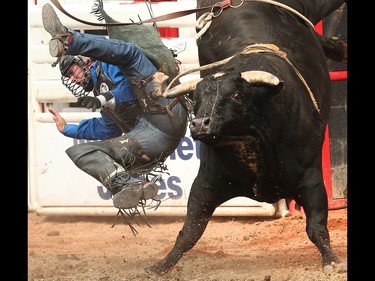 Maple Creek, Saskatchewan bullrider Jared Parsonage is tossed from a bull named Lowlife at the Calgary Stampede rodeo on Sunday, July 10, 2016.