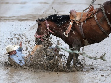 Cody Ballard from Regina gets stepped on by Lazuli Skies after he bucked off in novice saddle bronc riding at the Calgary Stampede on Saturday July 16, 2016.