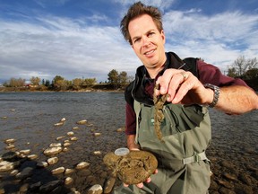Lee Jackson, a professor at the University of Calgary holds some rock snot also known as Didymosphenia geminata or didymo in October 2009.