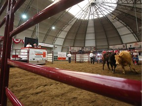 CALGARY, AB: July 14, 2012 - The auction ring at the International Livestock Auctioneer Championship at the Calgary Stampede on Saturday July 14, 2012.