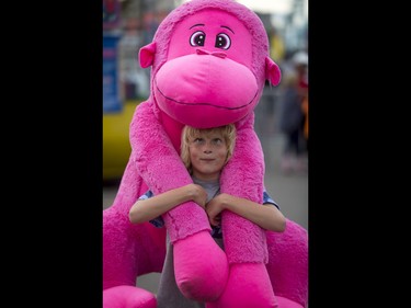Davis Antonini, 10, holds the giant stuffed gorilla he won in a shooting game on the midway during the Calgary Stampede Sneak-a-Peek in Calgary, Alta., on Thursday, July 7, 2016. Stampede would officially kick off the next day and last until July 17. Lyle Aspinall/Postmedia Network