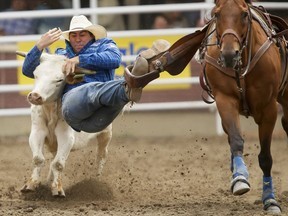 Morgan Grant of Granton, Ont., grabs his target in the steer wrestling event on Day 6 of the Calgary Stampede Rodeo in Calgary, Alta., on Wednesday, July 13, 2016. Cowboys compete for 10 days for a piece of the rodeo's $2 million in prize money. Lyle Aspinall/Postmedia Network