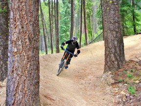 File photo of a mountain biker in Panorama.