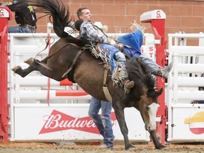 Orin Larsen of Inglis, Man., puts in the day's best score (86.5) on Gypsy Soul in the bareback event on Day 6 of the Calgary Stampede Rodeo in Calgary, Alta., on Wednesday, July 13, 2016. Cowboys compete for 10 days for a piece of the rodeo's $2 million in prize money. Lyle Aspinall/Postmedia Network