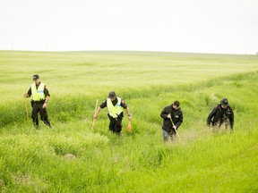 Police search through a ditch east of Calgary, Alta., on Thursday, July 14, 2016. Hawc, the Calgary Police Service helicopter, could be seen flying over a very wide area in the Chestermere, Conrich and Delacour areas east of Calgary, with police vehicles following along.