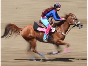 Fallon Taylor of Collinsville, TX, during the barrel racing event at the Calgary Stampede rodeo on Friday, July 8, 2016.