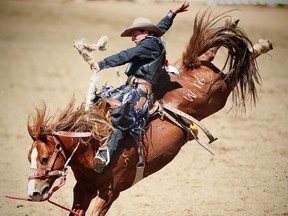 Utah cowboy Rusty Wright rides Wild Cherry at the Calgary Stampede rodeo on Friday, July 8, 2016. AL CHAREST/POSTMEDIA