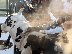 Colleen De Neve/ Calgary Herald CALGARY, AB --JULY 1, 2014 --Bull rider Tyler Harr flew off the back of Last Call during the Ranchman's Renegades Smithbilt Bullbustin 2014 on July 1, 2014. (Colleen De Neve/Calgary Herald) (For Sports story by Jeff McKinnon) 00056846A SLUG: BULLBUSTIN PBR