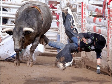 Robson Palermo from Rio Branco, Brazil gets bucked off Blue Bell in bull riding at the Calgary Stampede on Saturday July 16, 2016.