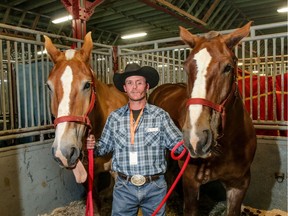 Rocky Dempsey from Fort McMurray with his Belgian heavy horses Jack and bill at the Calgary Stampede in Calgary, Ab., on Friday July 15, 2016. Mike Drew/Postmedia