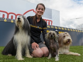 Romy Dupal-Demers with her dogs Sprite, Tinsel, Lily, and Fizz inside the Dog Bowl at the 2016 Calgary Stampede.