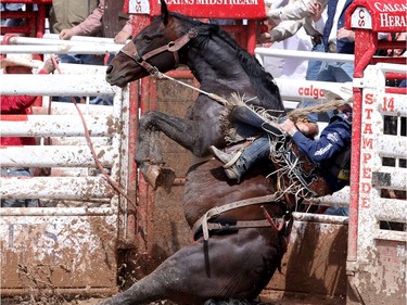 Spencer Wright from Milford, Utah is hung up in the chutes on Billy The Kid during saddle bronc riding at the Calgary Stampede on Saturday July 16, 2016.