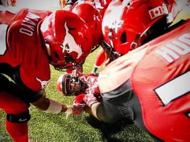 Calgary Stampeders Tommie Campbell celebrates with teammates after his interception in the endzone in overtime for a 44-41 win over the BC Lions in CFL football in Calgary, Alta., on Friday, July 29, 2016. AL CHAREST/POSTMEDIA