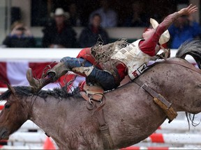 Steven Peebles winning ride during bareback championship at the Calgary Stampede in Calgary, Alta., on Sunday July 17, 2016. Leah Hennel/Postmedia
