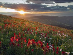 Sun Peaks at sunset during the Alpine Blossom Festival. Sun Peaks Tourism/Kelly Funk Photography.