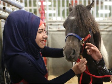 Syrian refugee Batoul Abboud, 17, left, comes face to face with a miniature horse during her first Calgary Stampede in Calgary, Alta., on Wednesday July 13, 2016. Leah Hennel/Postmedia