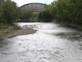 The Elbow River is shown near the MacDonald Ave Bridge in Calgary, Alta on Friday July 8, 2016. Alberta Health Services has issued a contaminated water advisory for the Elbow River due to elevated levels of fecal coliforms in the river between 25 Ave and 9 Ave SE. Jim Wells//Postmedia