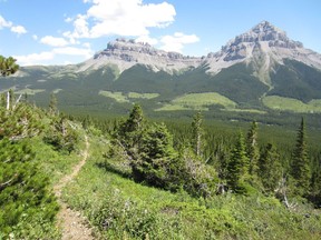 The Great Divide Trail through the proposed High Rock provincial park.