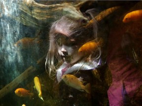 Children look at the tropical fish at the TransAlta Rainforest at the Calgary Zoo on April 24, 2014.