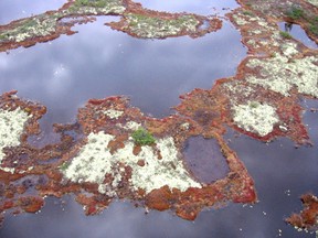 Lichen and shrub–covered palsas are surrounded by a pond resulting from melting permafrost near the village of Radisson, Canada. Courtesy, University of Laval