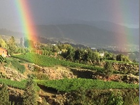 A double rainbow seems to end in the Lake Breeze vineyard. Credit, Geoff Last
