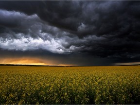 A huge storm moves in over Okotoks, Alta., on Sunday July 31, 2016.