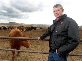 Rancher Bob Lowe is shown at Bear Trap Feeders Thursday April 28, 2016 west of Nanton, Alta, south of Calgary, Alta.