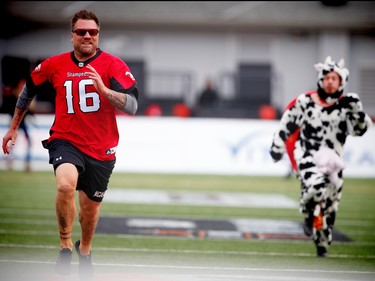 Former Flames forward Brian McGrattan races the World’s Fastest Cow during CFL football in Calgary, Alta., on Sunday, August 28, 2016. AL CHAREST/POSTMEDIA