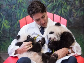 Prime Minister Justin Trudeau meets Canadian Hope and Canadian Joy prior to the panda naming ceremony at the Toronto Zoo in March.